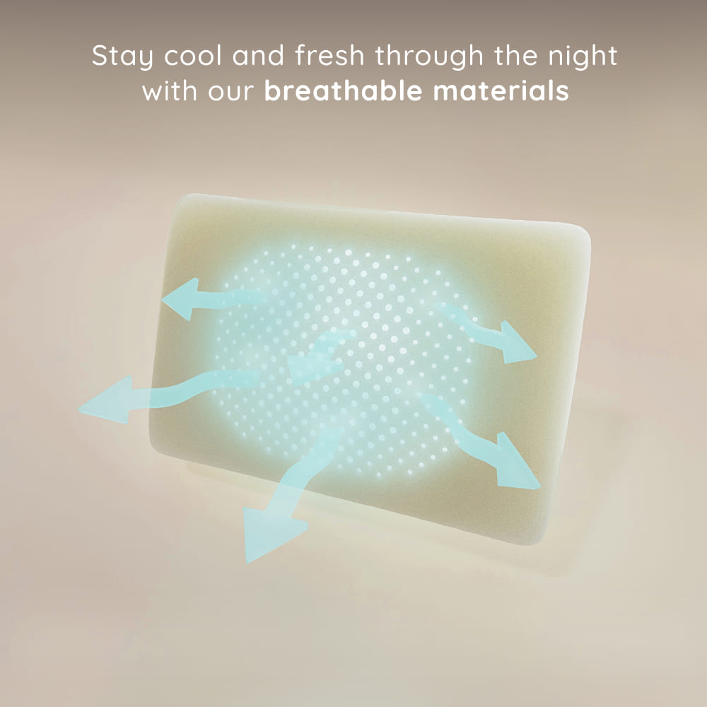 Hisleep Premium Dream Pillow